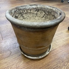 植木鉢　10号