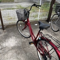 自転車（無料）