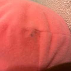 ワンピース　チョッパーのぬいぐるみの画像