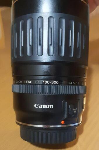 Canon EF100-300㎜ f4.5-5.6 USM