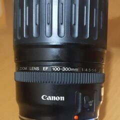 Canon EF100-300㎜ f4.5-5.6 USM