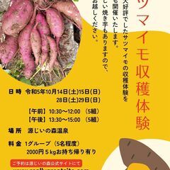 源じいの森ファーム　サツマイモ収穫体験　ご参加について