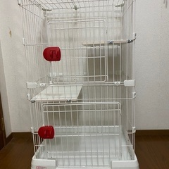 キャットサークル　2段