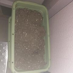 プランターの画像