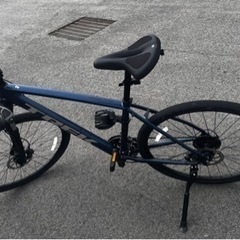 TREK Dual Sports 2（2021）