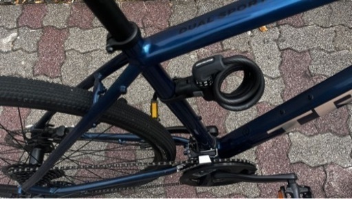 TREK Dual Sports 2（2021）