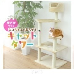 キャットタワー受け渡しの方決まりました。の画像