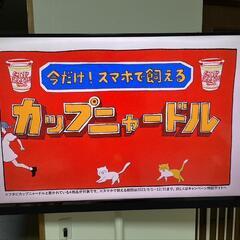 TV　4K 2020年　58インチ