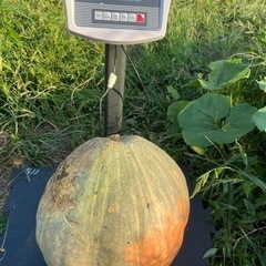 ハロウィンカボチャ