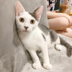 人と一緒に寝たい甘えん坊くん❣️