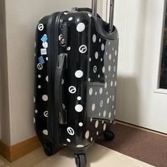 一泊2日用キャリーバッグの画像