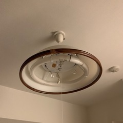 シーリングライト　電球付き