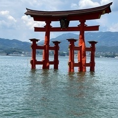 広島に引っ越して来ました