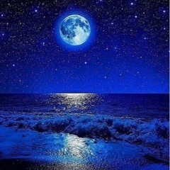 夜の砂浜で波の音聞きながら寝るの好き