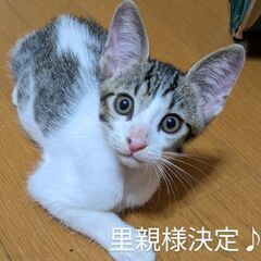 (⁠人⁠ ⁠•͈⁠ᴗ⁠•͈⁠)ありがとうございました♪