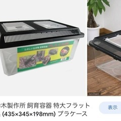 飼育ケース    プラケース 
