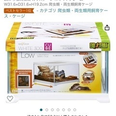 エキゾテラ 飼育ケース レプテリアホワイト