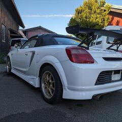 ZZW30　MR-S 5MT テイン車高調　レイズ製ホイール　フルバケの画像