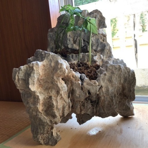 運気上昇小さな庭石金運上昇