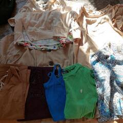 半袖レディースまとめ売りの画像