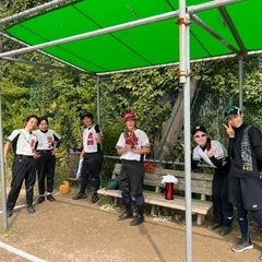 【ソフトボール女子】メンバー募集　2024年9月〜
