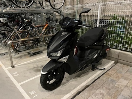 シグナスグリファス