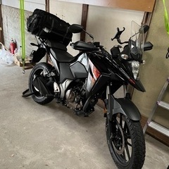 v-strom250sx走行少!