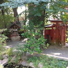 神社参拝！
