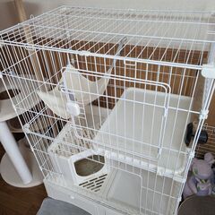 タンスのゲン キャットケージ 2段 幅82cm トイレ一体型 猫...