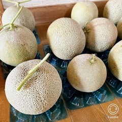 【受付再開】家庭菜園 メロン 訳あり 5~6kg