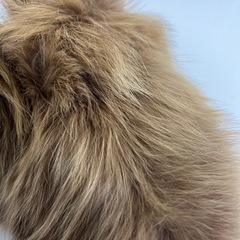 【中古】ラビットファー　ネック　マフラーの画像