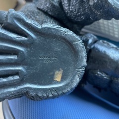 ゴジラですの画像