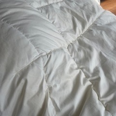 ニトリ掛け布団 150x210 シングルの画像