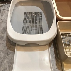 猫　トイレの画像