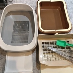 猫　トイレ