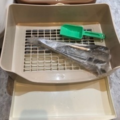 猫　トイレの画像