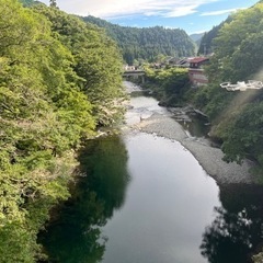 ドローン　写真