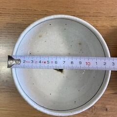 飲食店向き和皿の画像