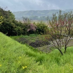 土地の均し作業(募集終了)
