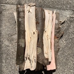焚き火用薪　伐採木