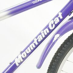 PANASONIC 「パナソニック」 MOUNTAIN CAT 2000年頃 マウンテンバイク