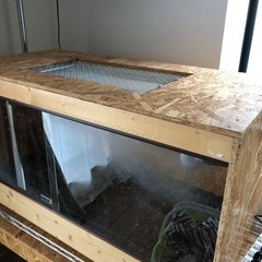 引き取り可　爬虫類ケージ鍵付　90✖︎45✖︎45 ハチクラ　エキゾテラ　オマケ多数 引き取り可爬虫類ケージ鍵付90✖︎45✖︎45 ハチクラエキゾテラ
