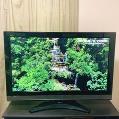 [無料] 46インチプラズマテレビ 日立 Woo P46-XP05 リモコン受信不可の画像