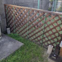 決まりました*ラティス