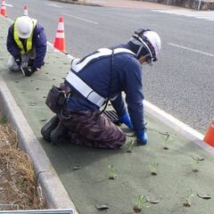 造園技術者募集します！　役に立てるスキル、身につきます★の画像