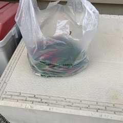 トウガラシの画像