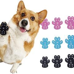 【老犬・足腰の弱いワンちゃんへ】商品サンプル無料提供