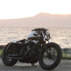 ハーレー　XL1200L 検付き