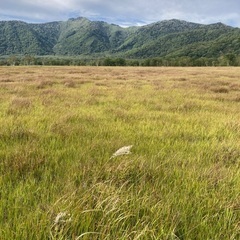 登山(ハイキング)好きな方