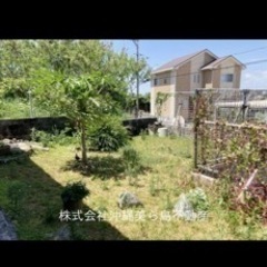 土を欲しい方、連絡下さい😃